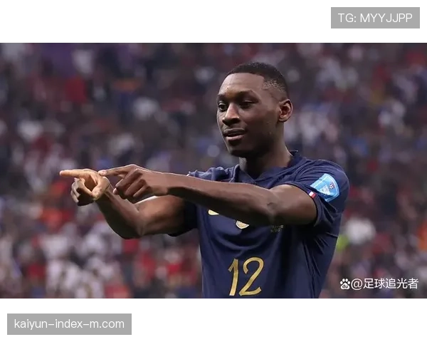 穆阿尼为热刺扳平比分 法国前锋展现个人能力